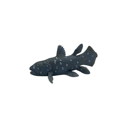 Coelacanth (Safari)