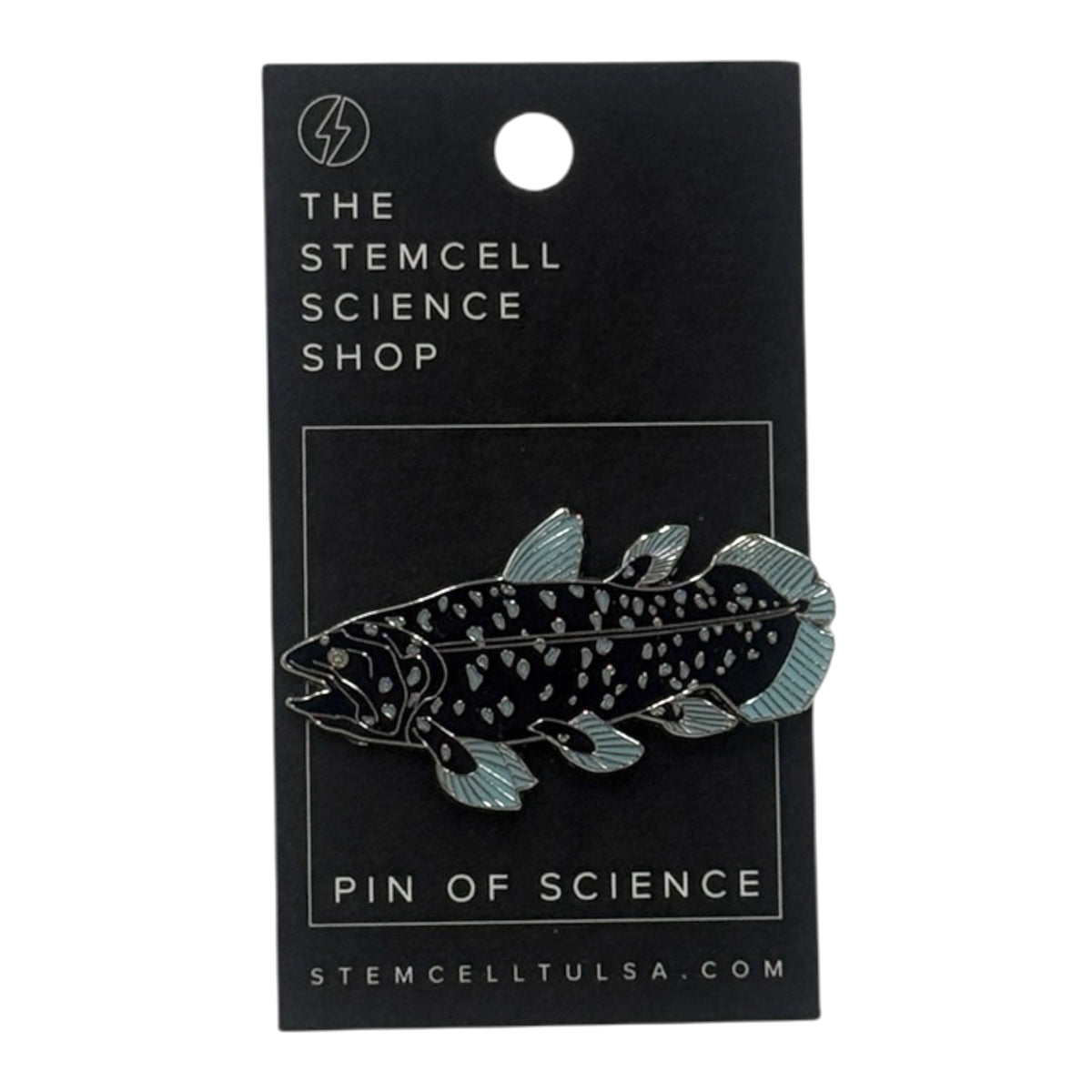 Prehistoric Pin