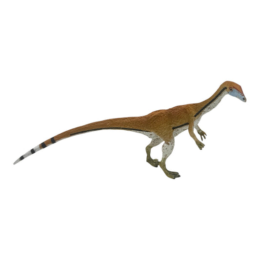 Coelophysis (Safari)
