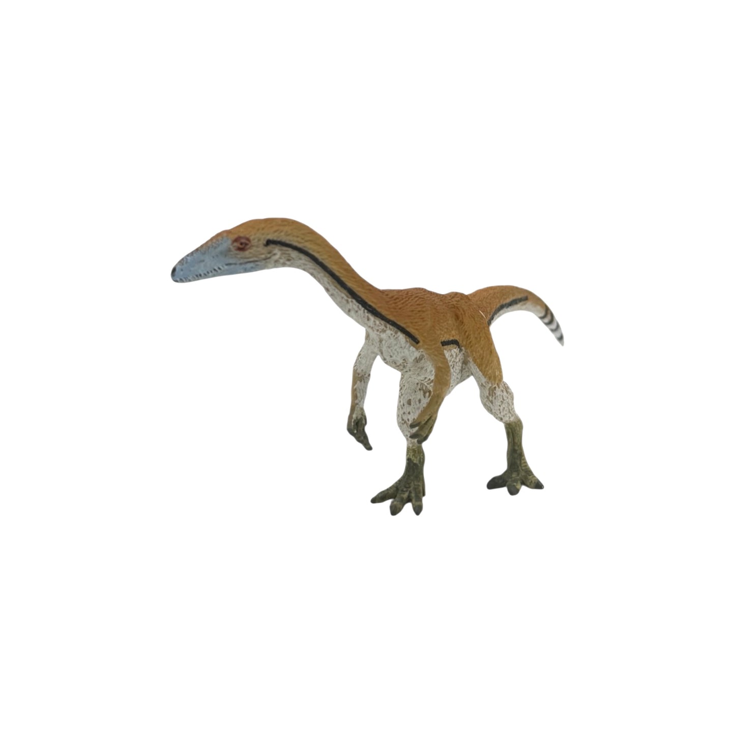 Coelophysis (Safari)