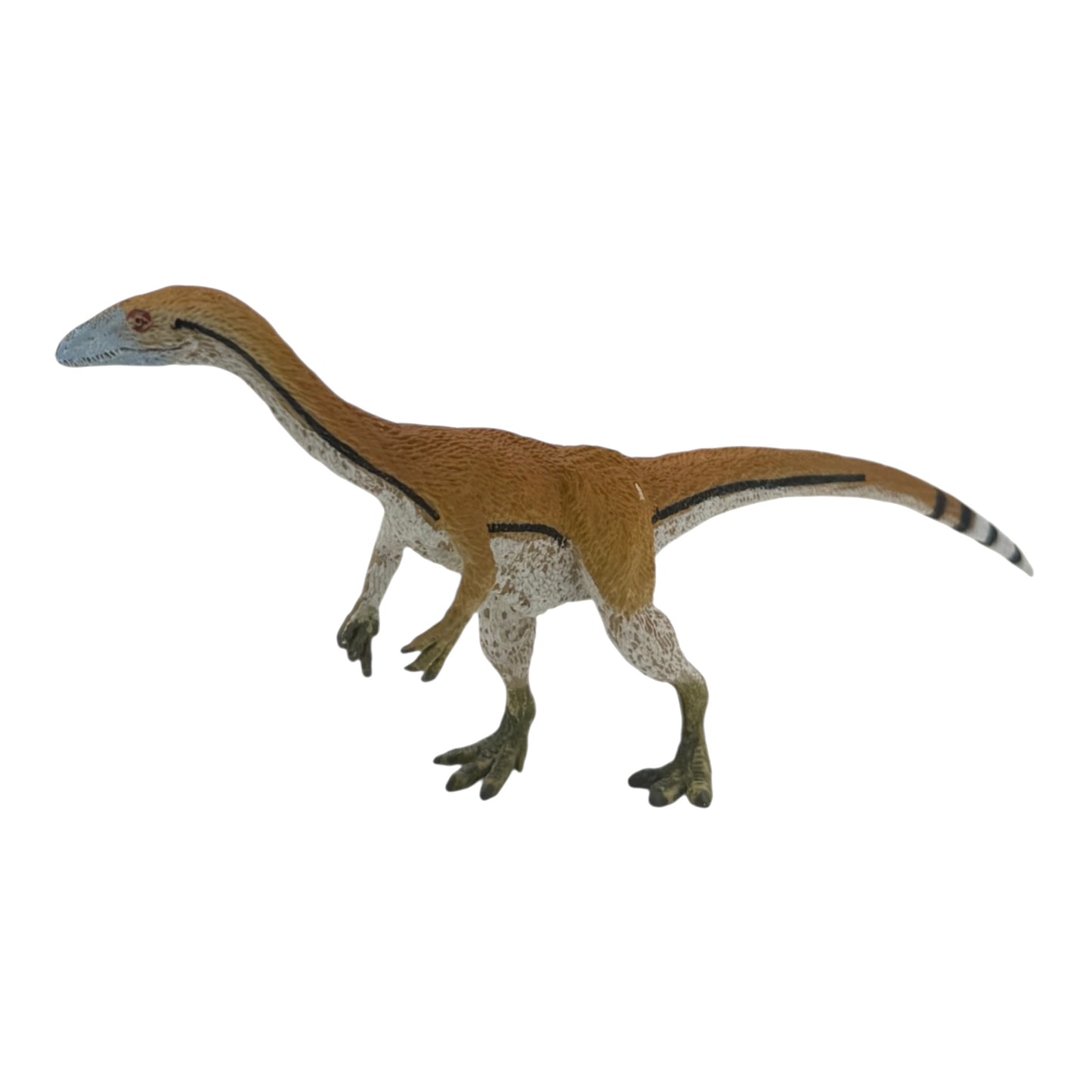 Coelophysis (Safari)