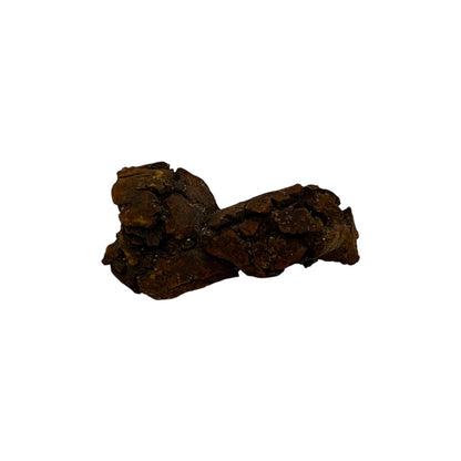 Coprolite (1-2")