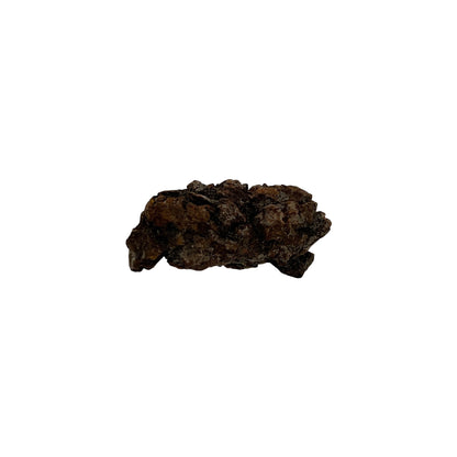 Coprolite (1-2")