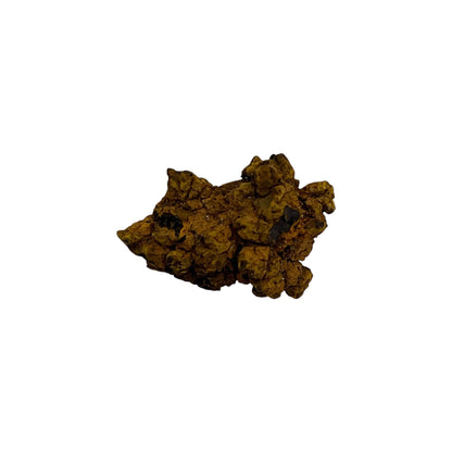 Coprolite (1-2")