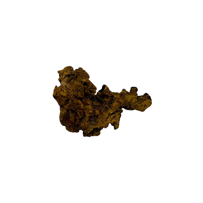 Coprolite (1-2")