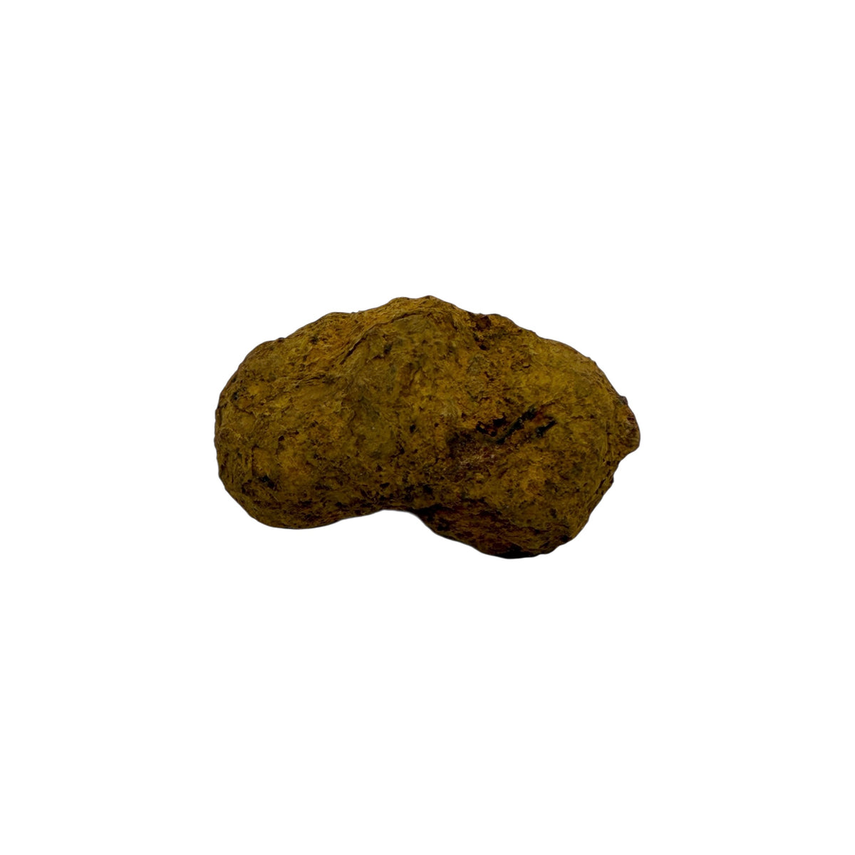 Coprolite (1-2")