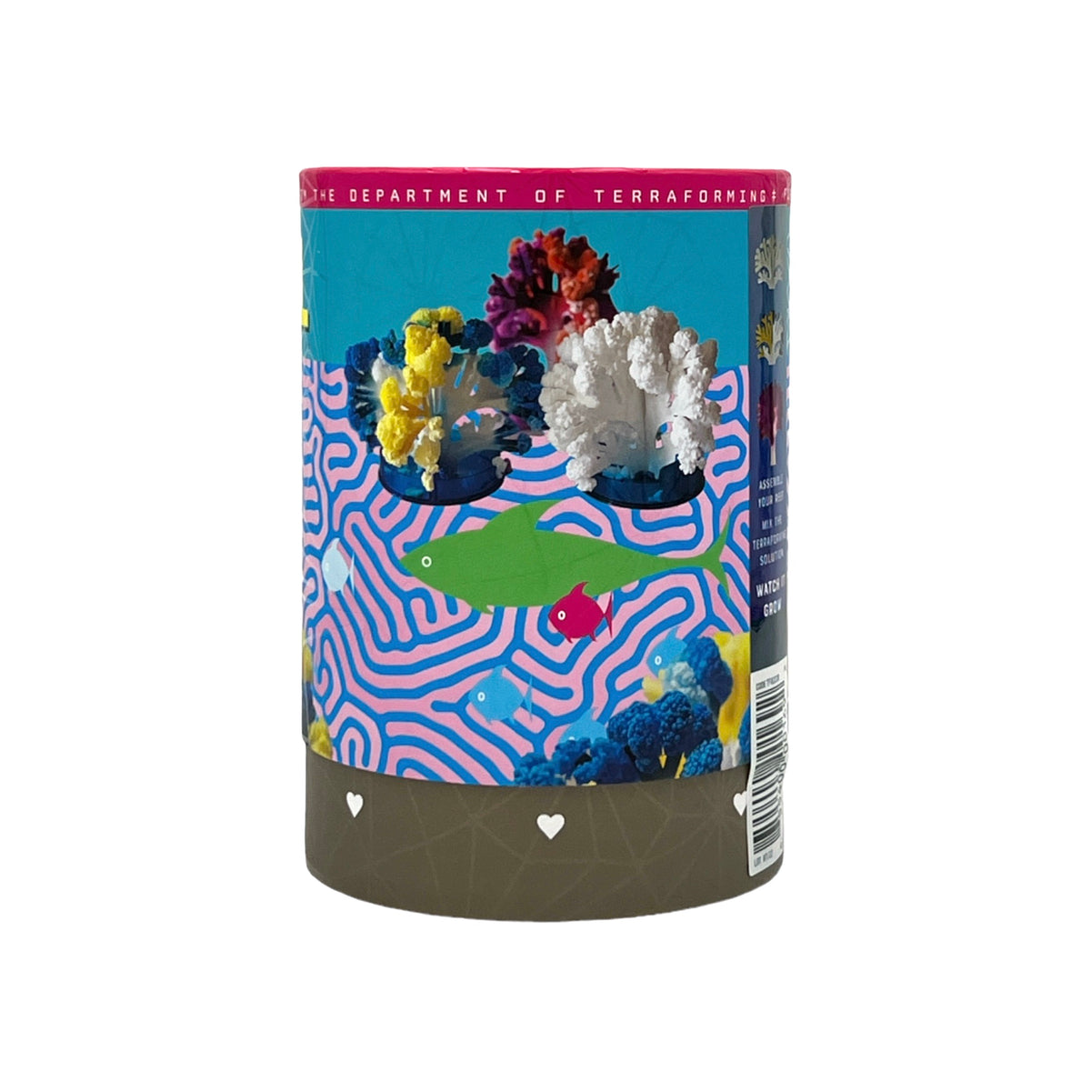 Crystal Growing Coral Reef