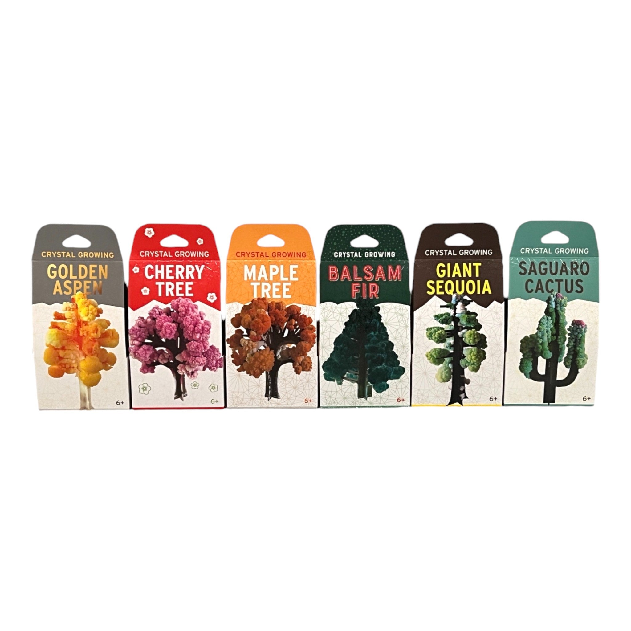 Crystal Growing Tree Kits - Just Add Water! – Tyrannostorus