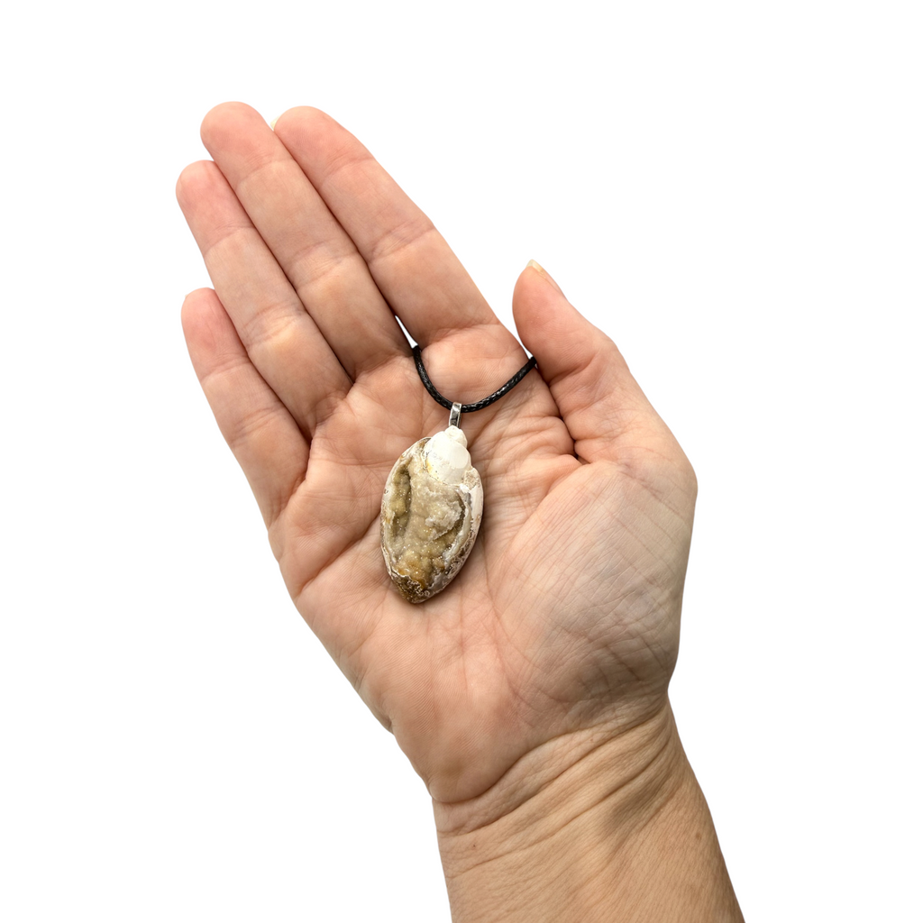Crystallized Shell Necklace