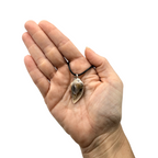 Crystallized Shell Necklace