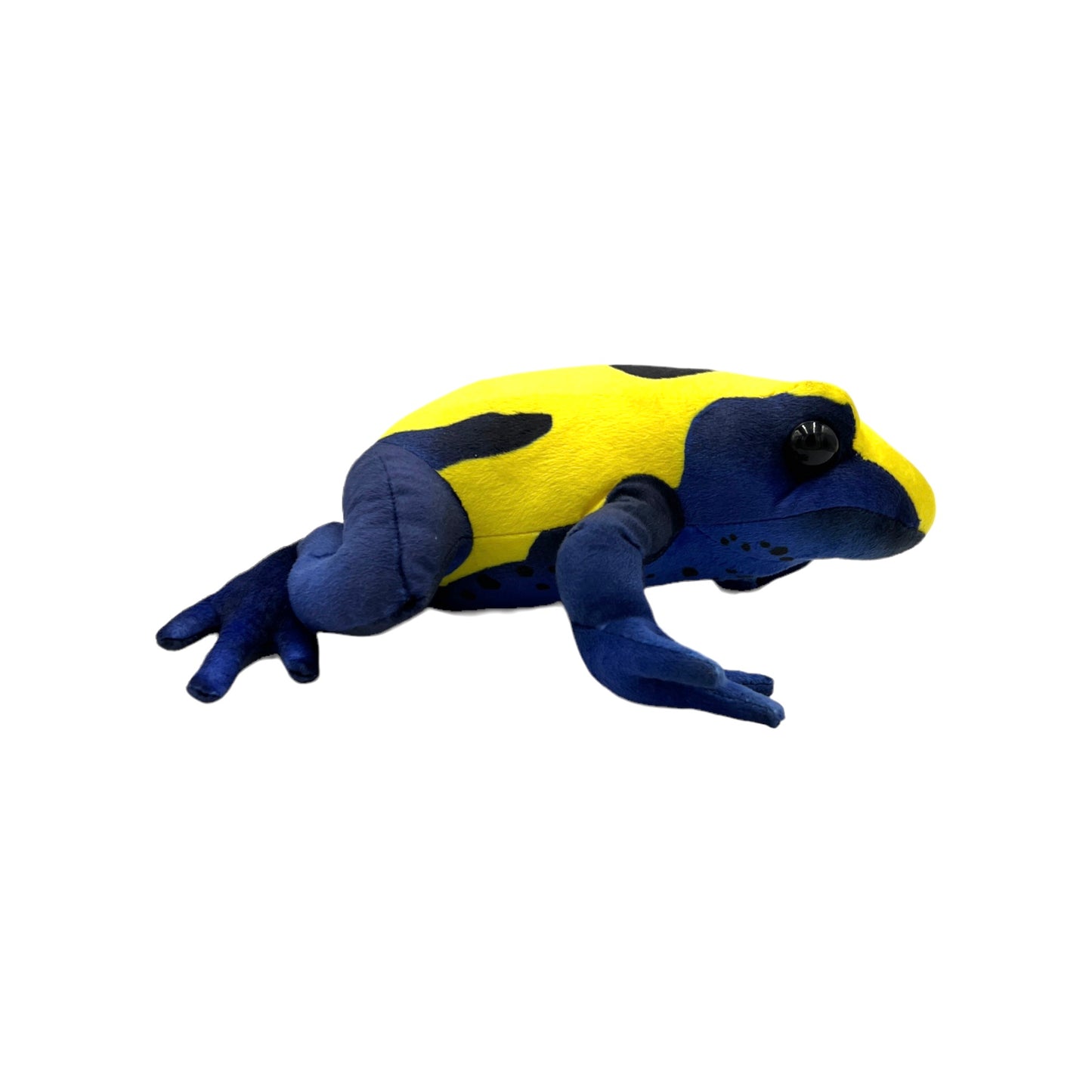 Citronella Dart Frog Plush