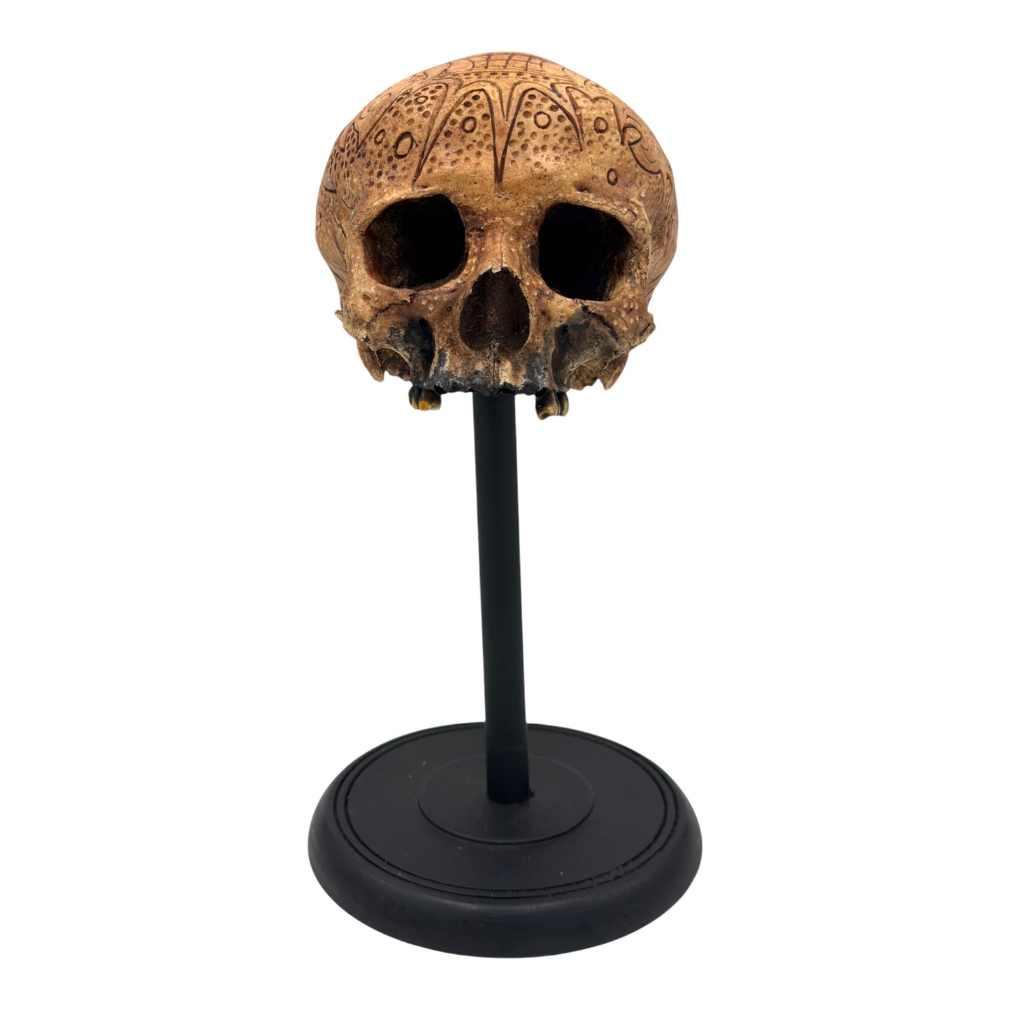 Dayak Motif Skull