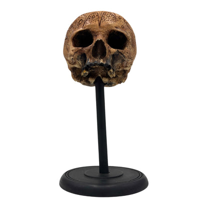 Dayak Motif Skull