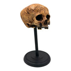 Dayak Motif Skull