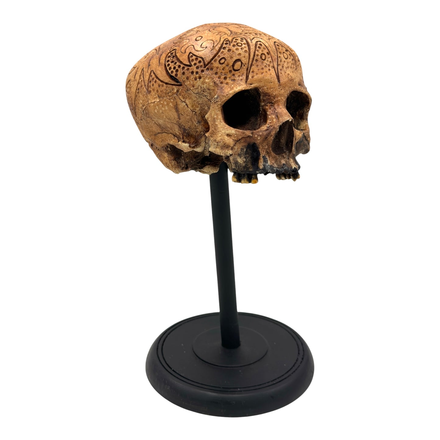 Dayak Motif Skull