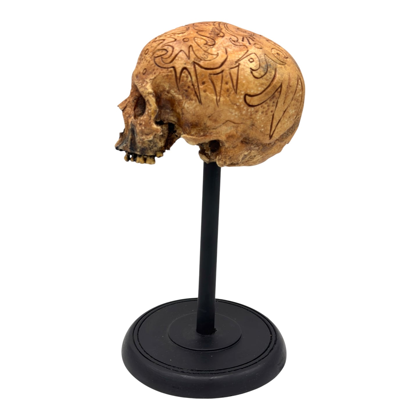 Dayak Motif Skull
