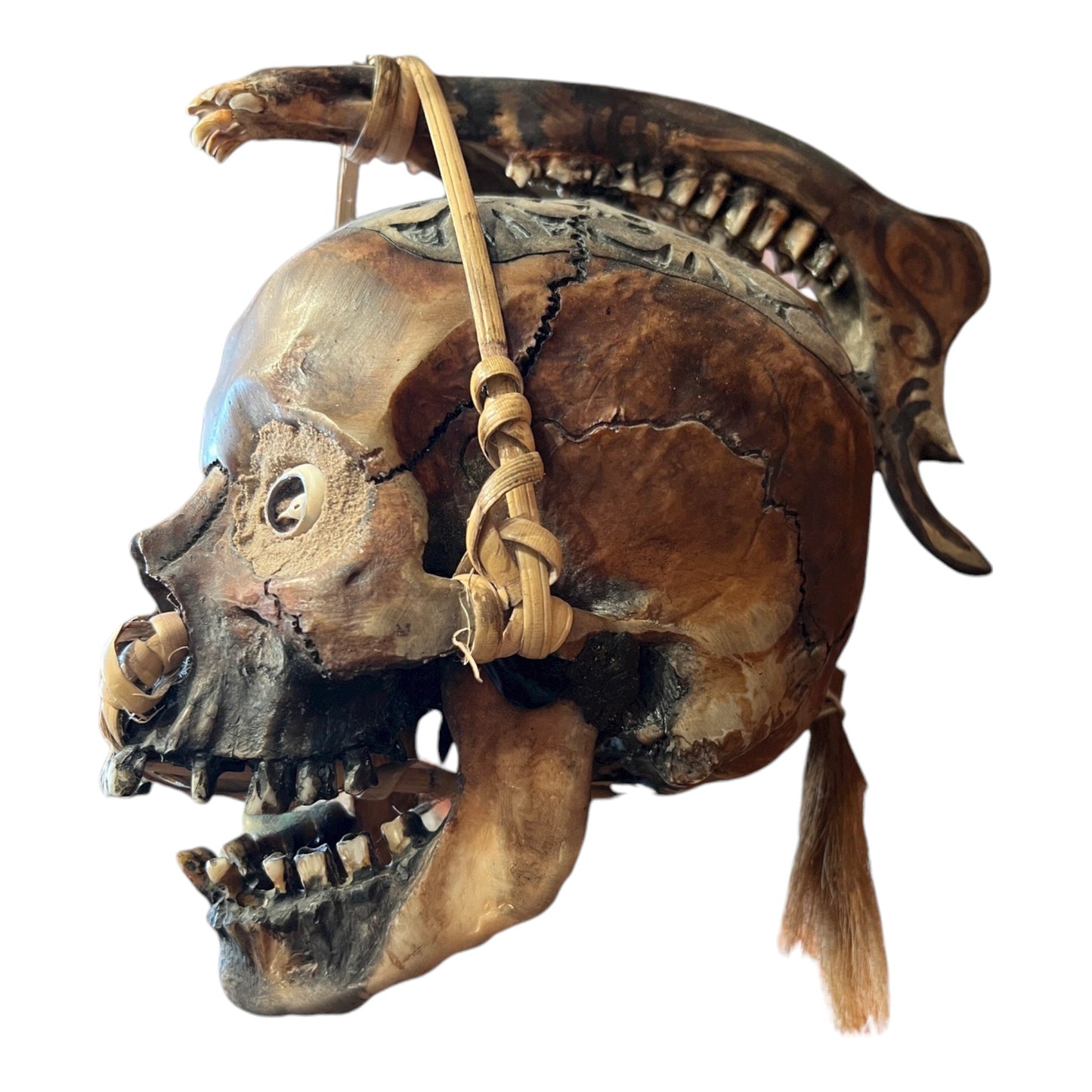 Dayak Tribal Skull