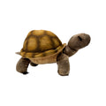 Desert Tortoise Plush