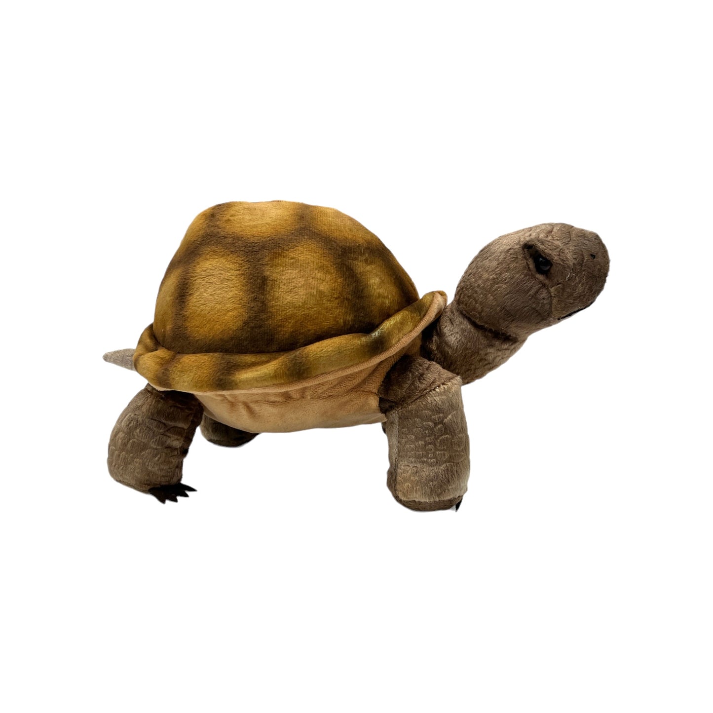 Desert Tortoise Plush