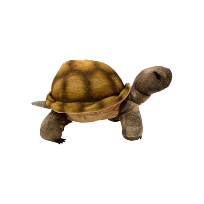 Desert Tortoise Plush