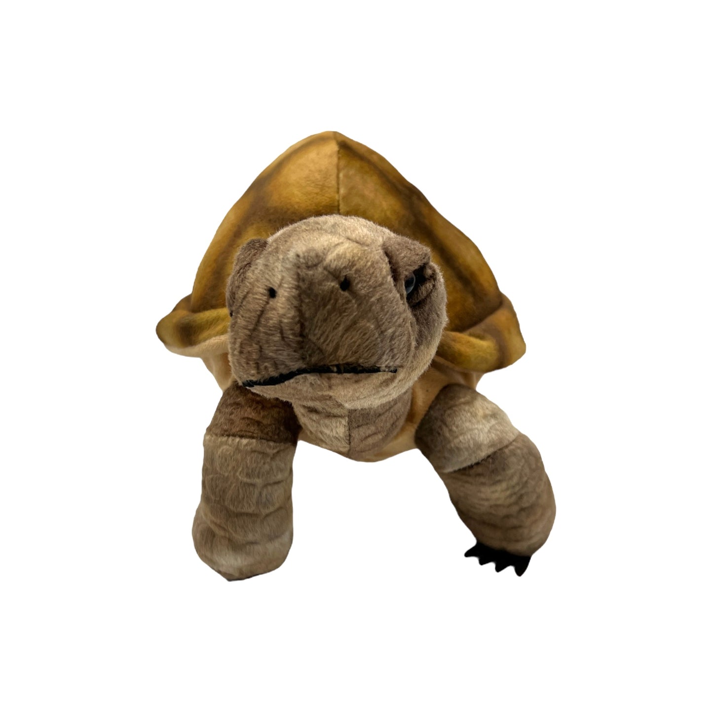 Desert Tortoise Plush