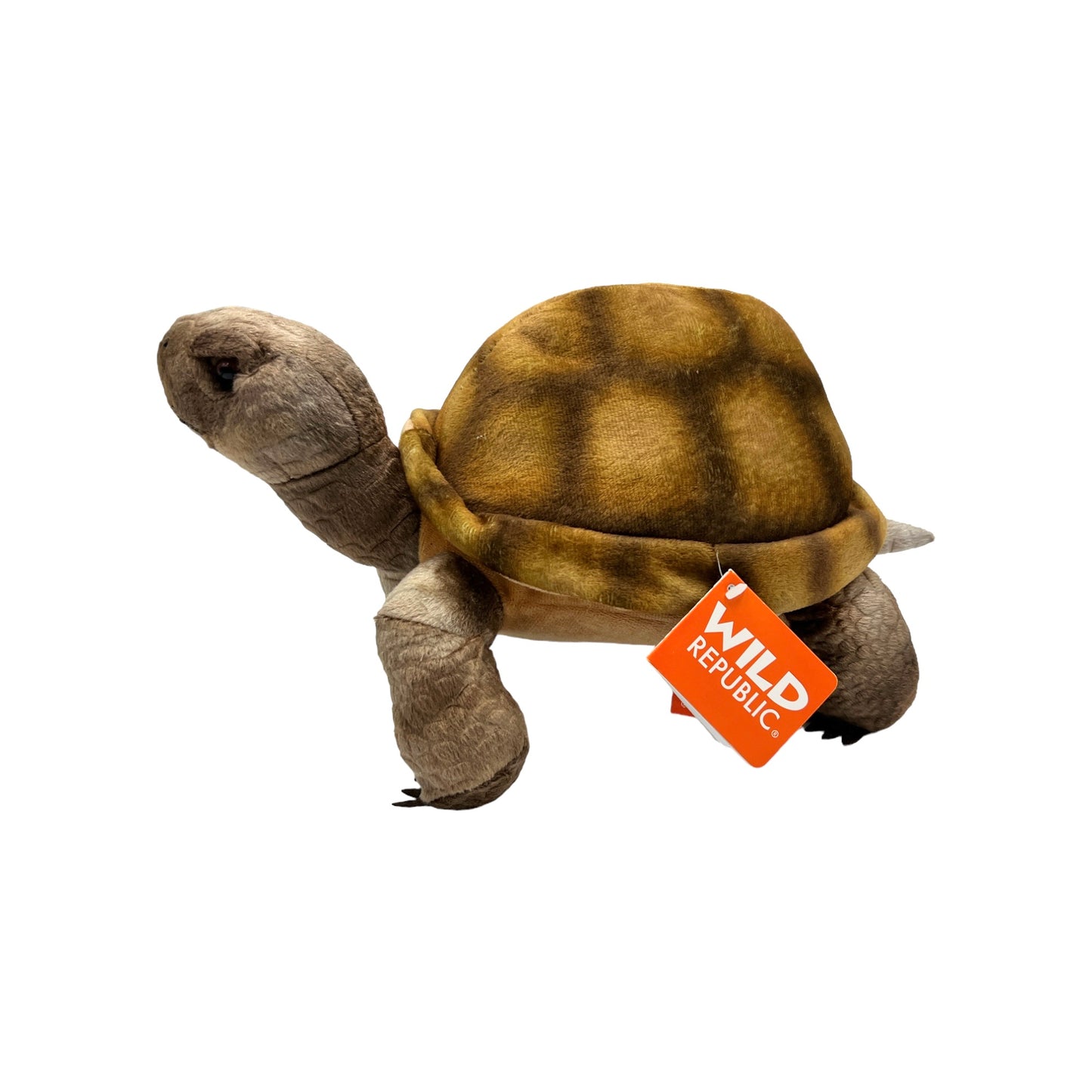 Desert Tortoise Plush