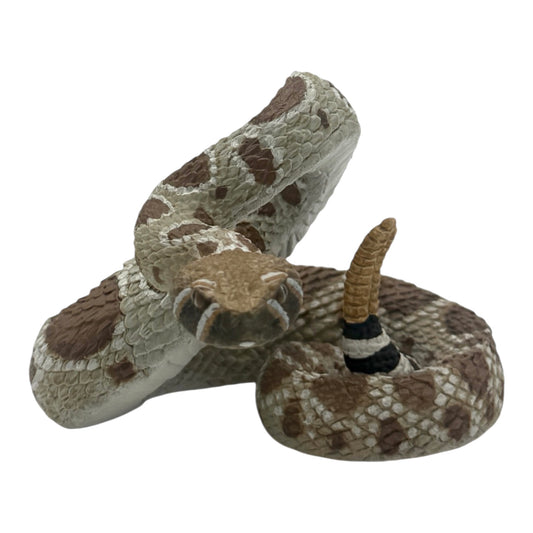 Western Diamondback Rattlesnake (Safari)