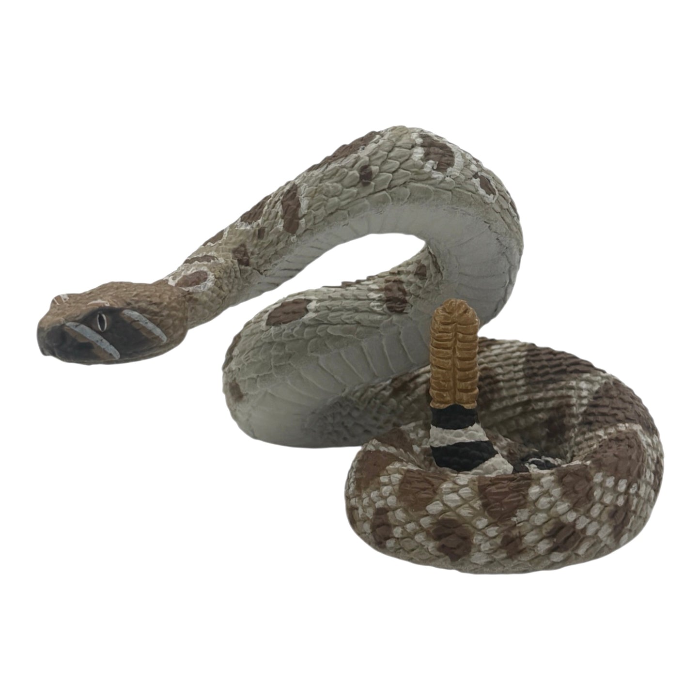 Western Diamondback Rattlesnake (Safari)