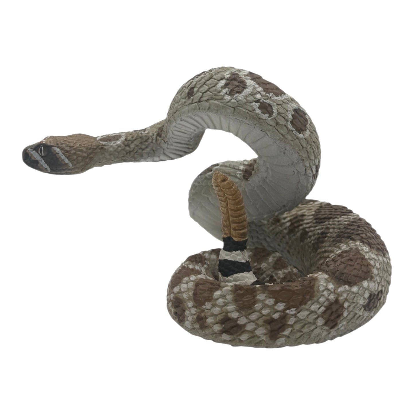 Western Diamondback Rattlesnake (Safari)