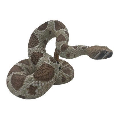 Western Diamondback Rattlesnake (Safari)