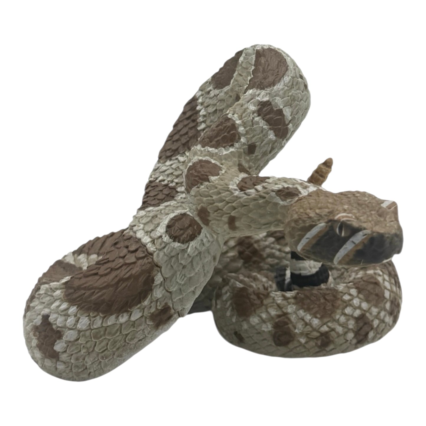Western Diamondback Rattlesnake (Safari)