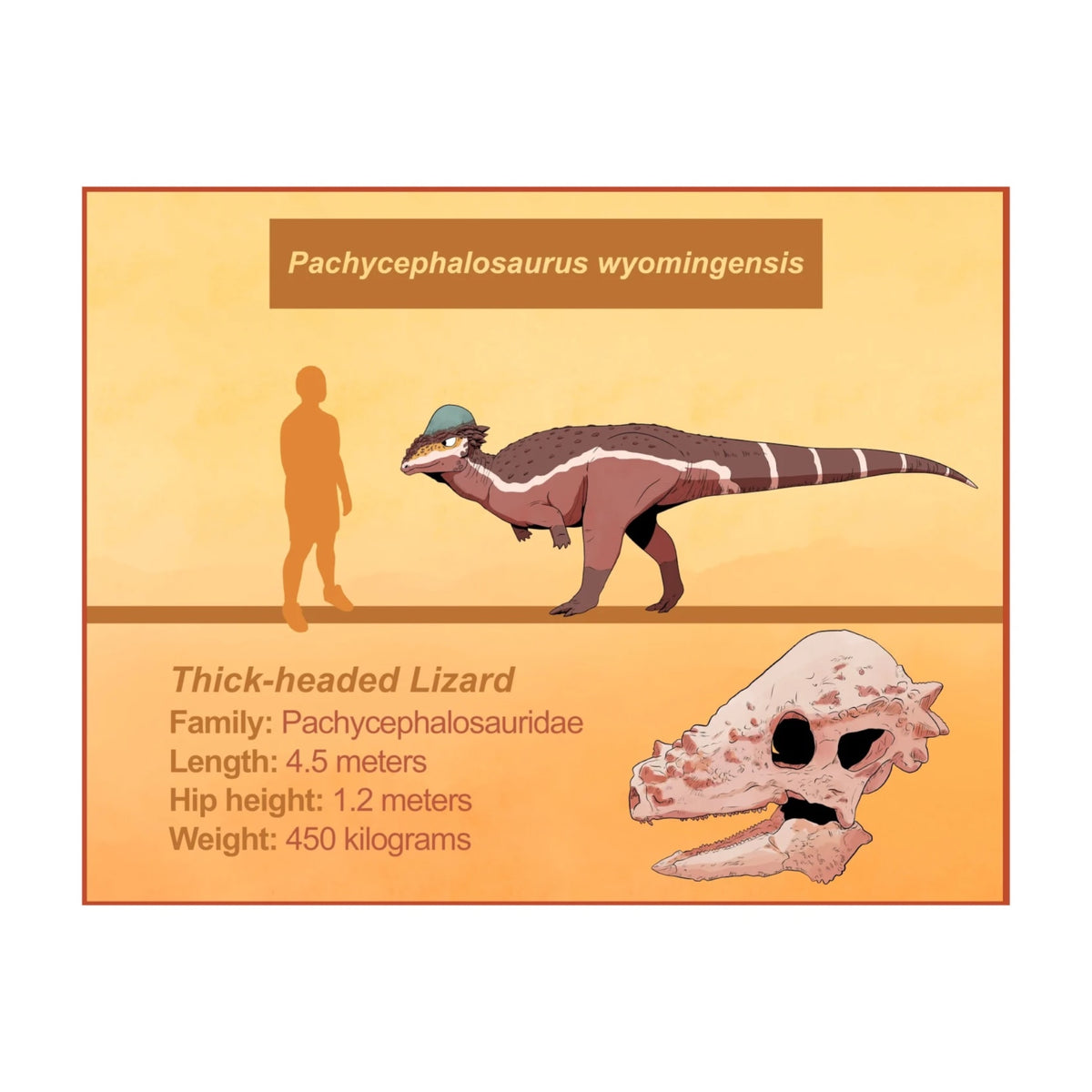 Did You Know Dino? Hell Creek