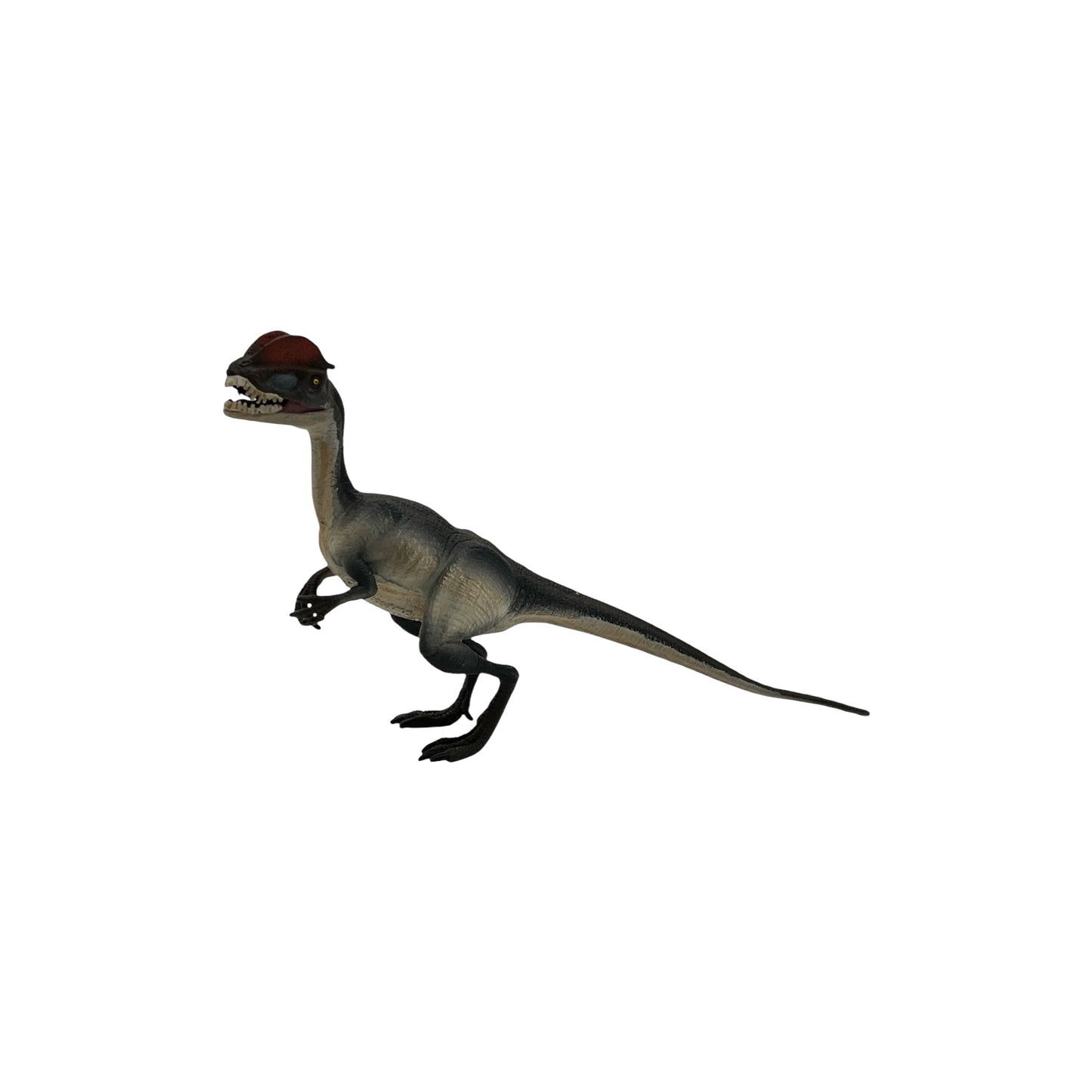 Dilophosaurus (Safari)