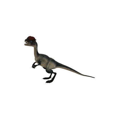 Dilophosaurus (Safari)