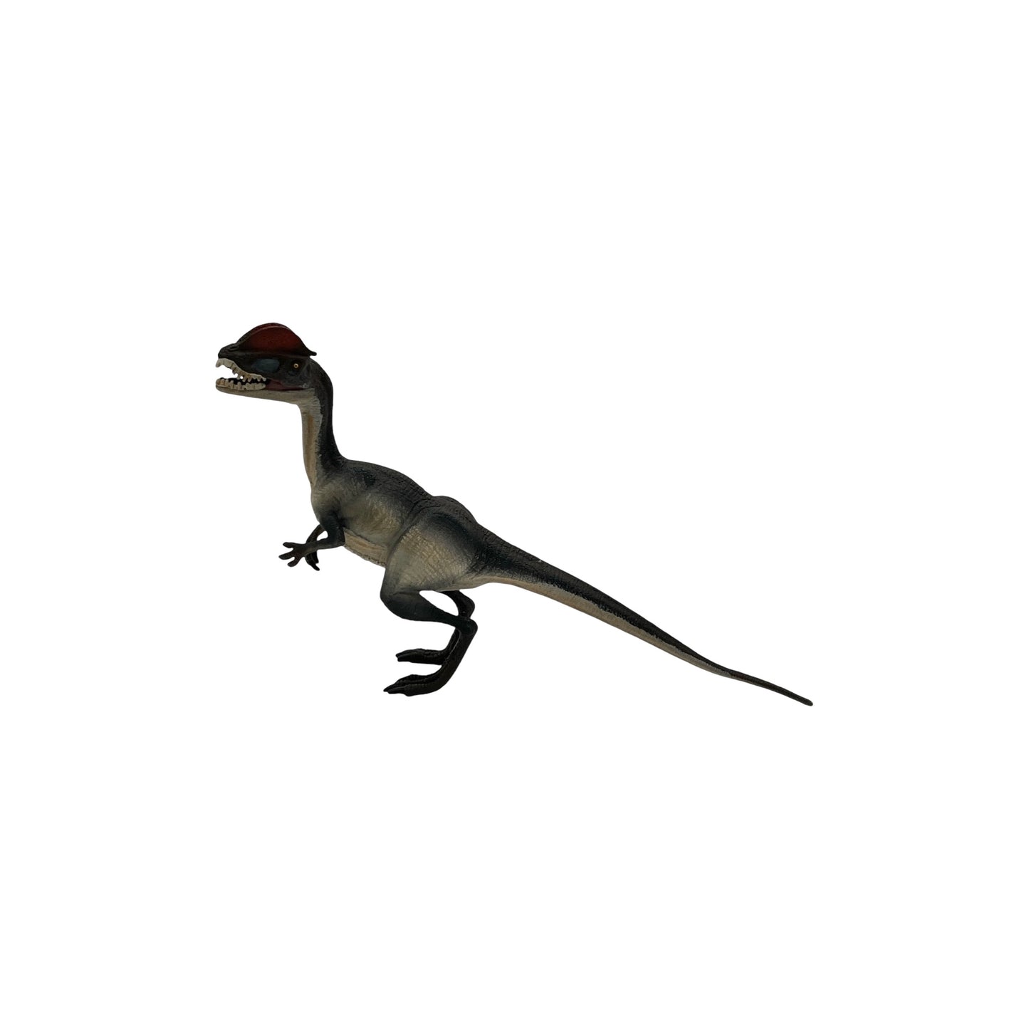 Dilophosaurus (Safari)