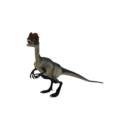 Dilophosaurus (Safari)