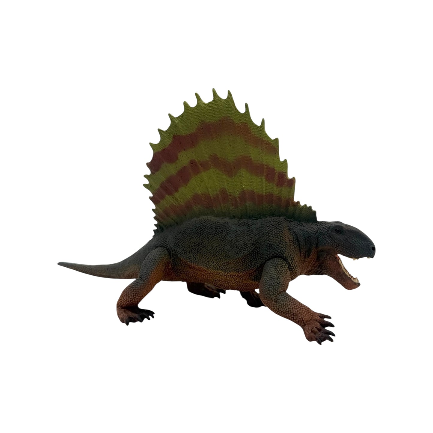 Dimetrodon (Safari)