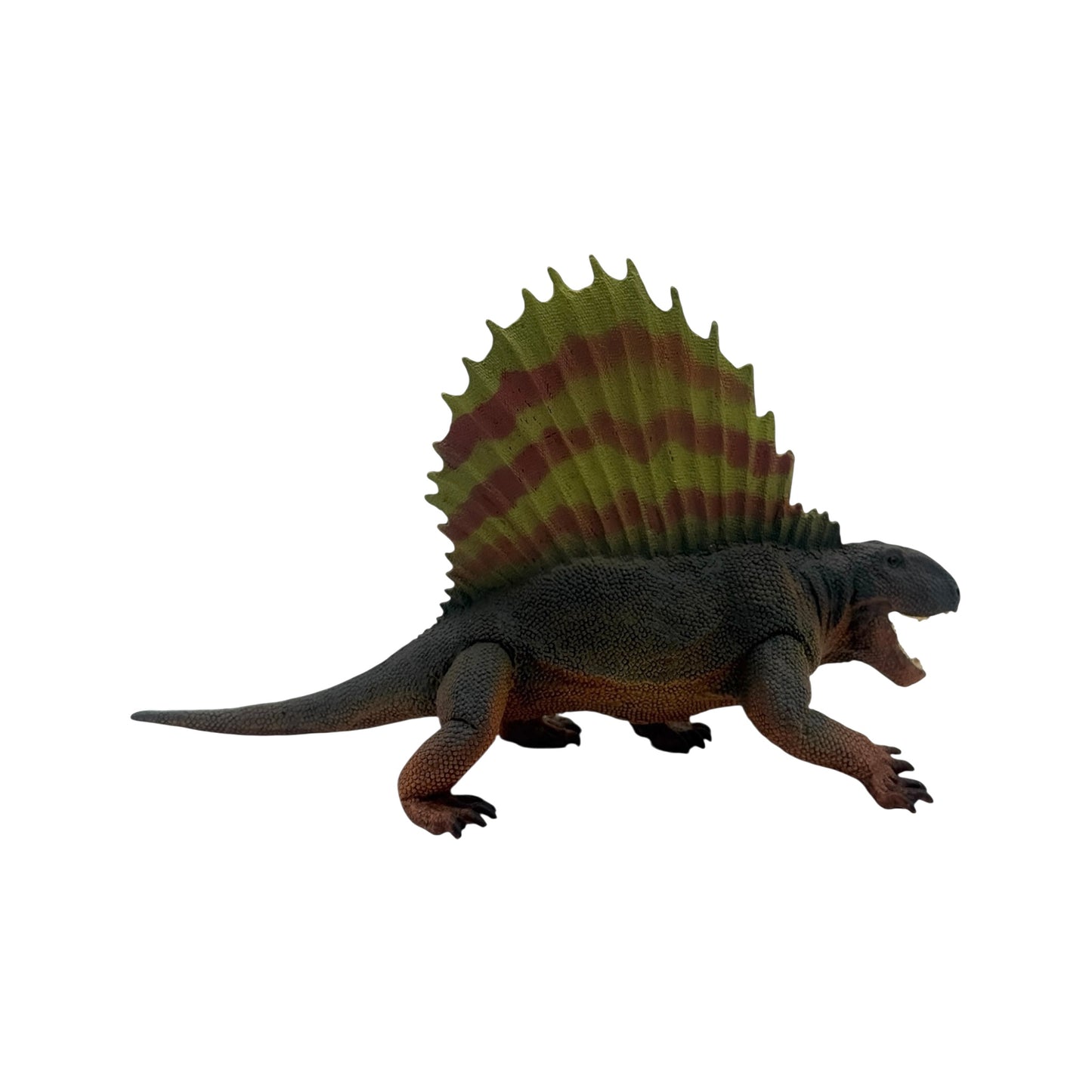 Dimetrodon (Safari)