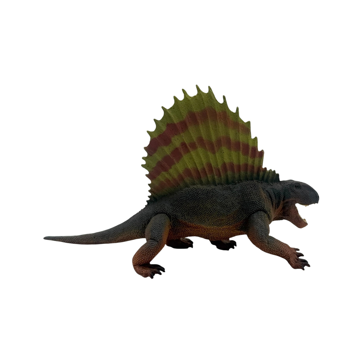 Dimetrodon (Safari)