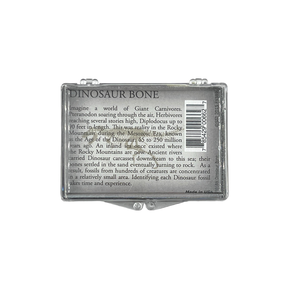 Dinosaur Bone + Case