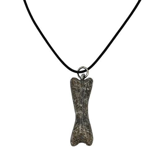 Fossil Dinosaur Bone Necklace