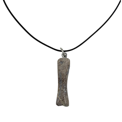 Fossil Dinosaur Bone Necklace