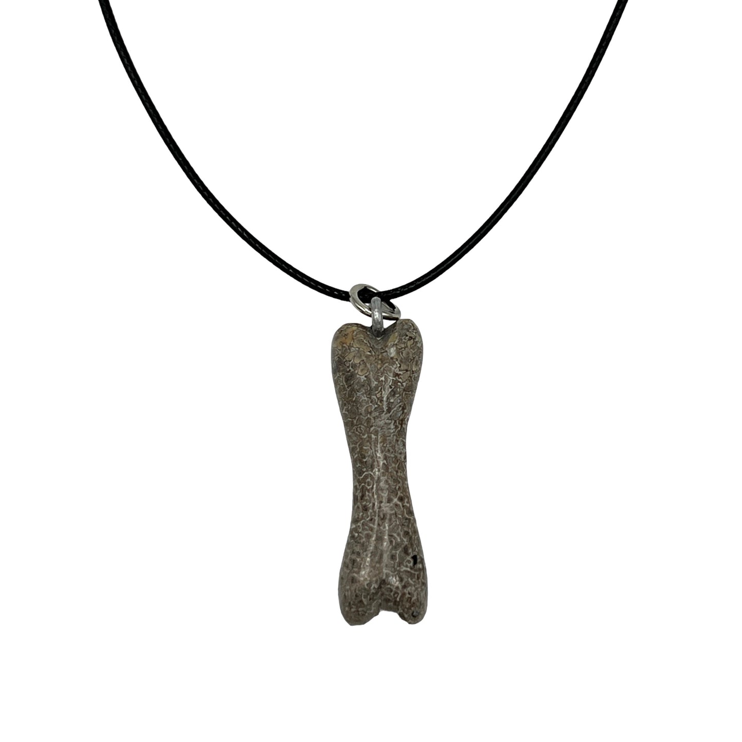 Fossil Dinosaur Bone Necklace