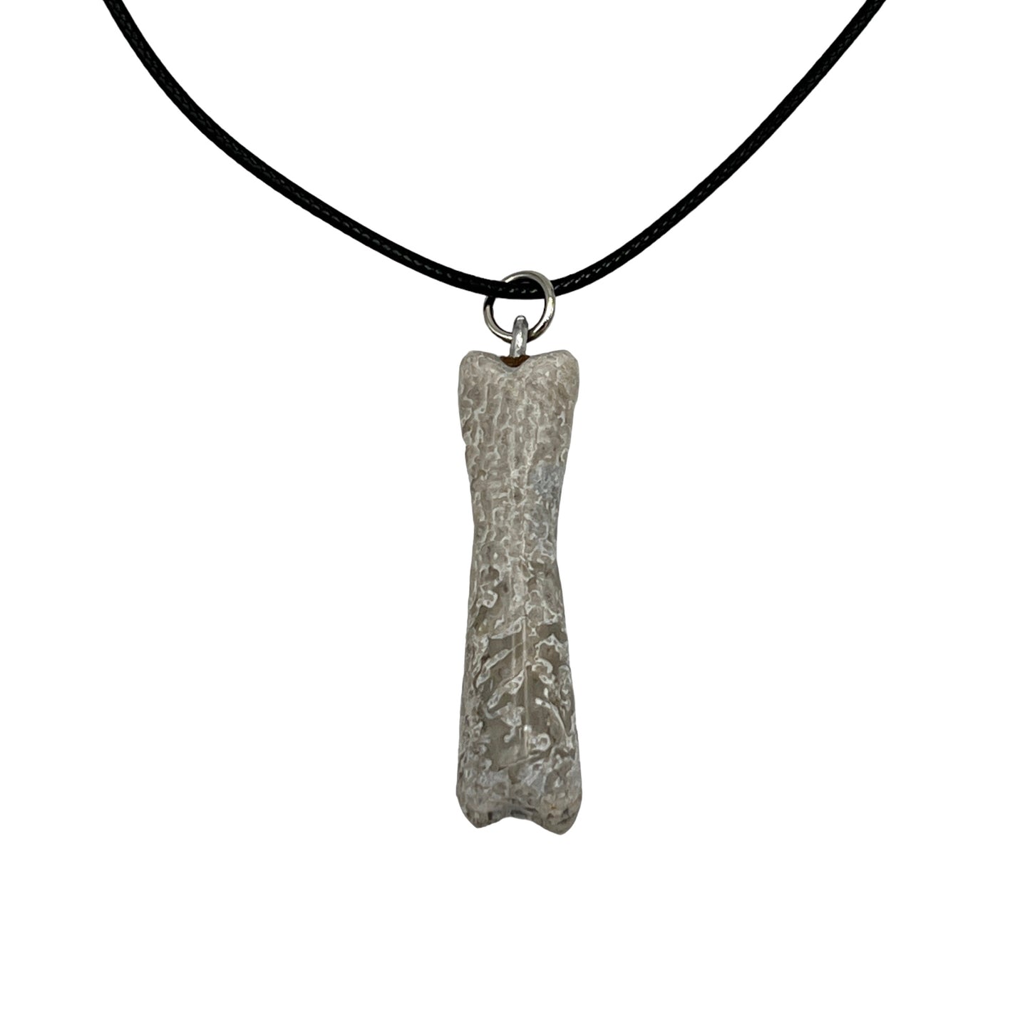 Fossil Dinosaur Bone Necklace