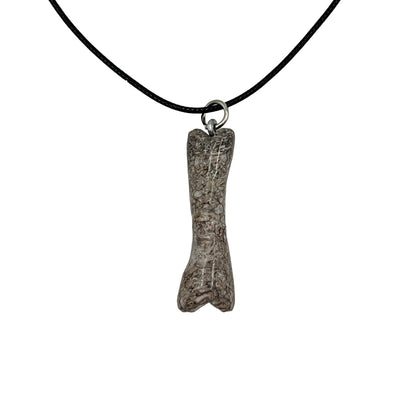 Fossil Dinosaur Bone Necklace