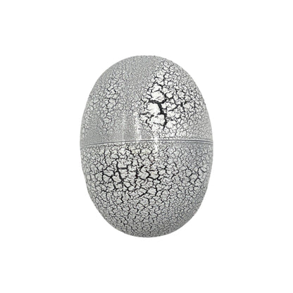 Dino Egg with Putty