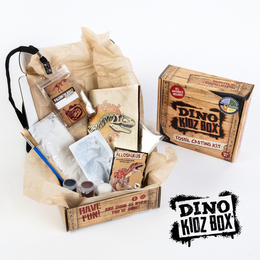 Dino Kidz Box Fossil Casting Kit