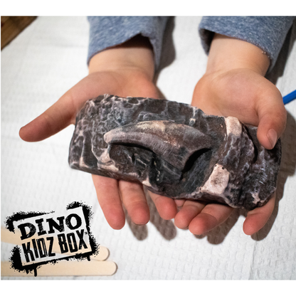 Dino Kidz Box Fossil Casting Kit