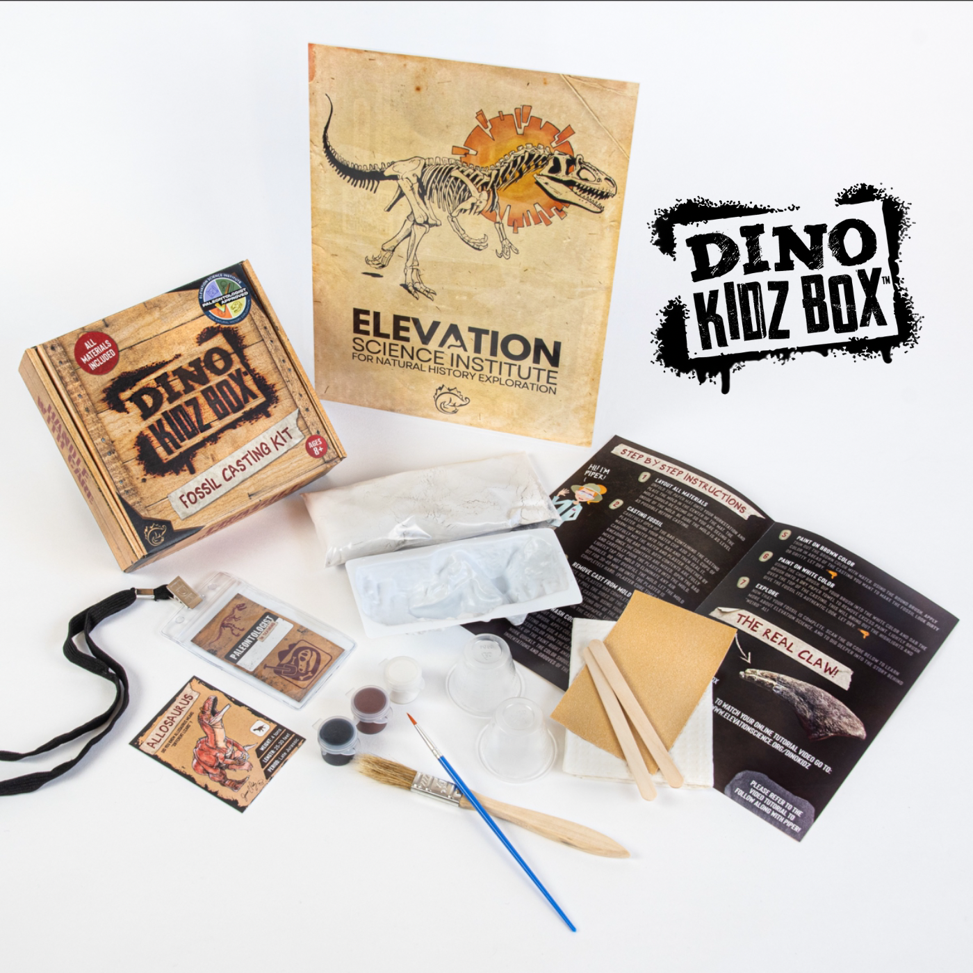 Dino Kidz Box Fossil Casting Kit