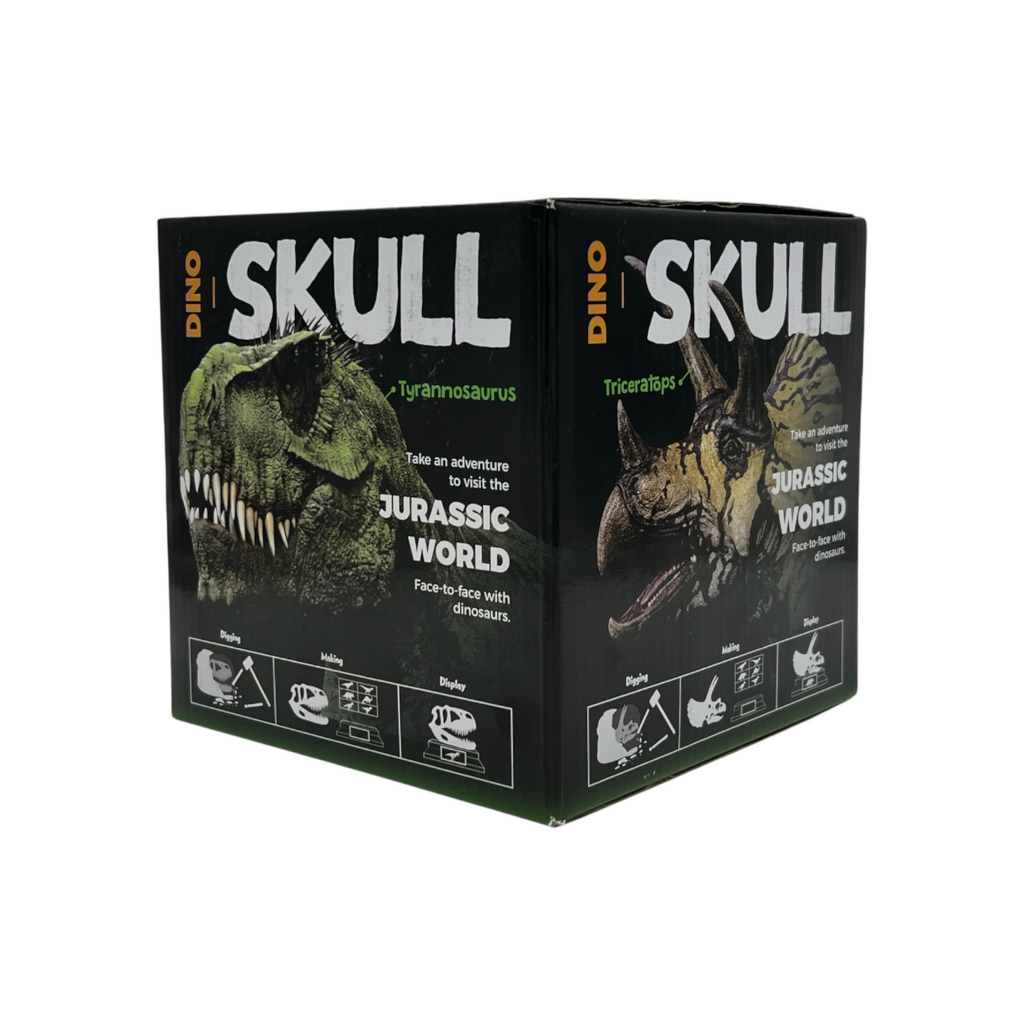 Dino Skull Dig